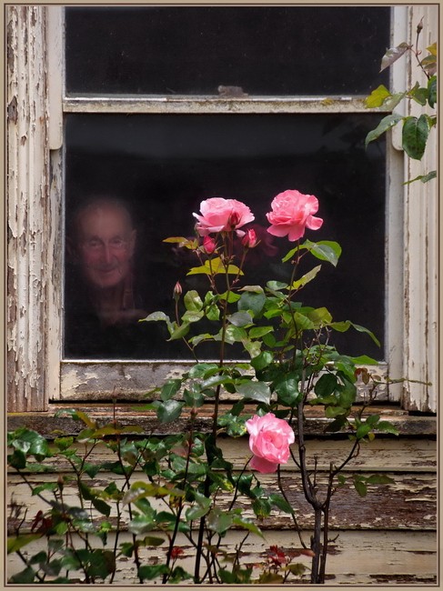 Old Man Greeting Me